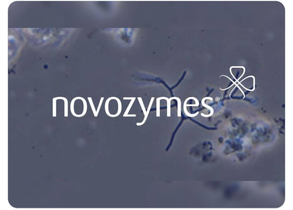 Ximilar collaborated with Novozymes on an award-winning app that identifies filament types in biological wastewater.