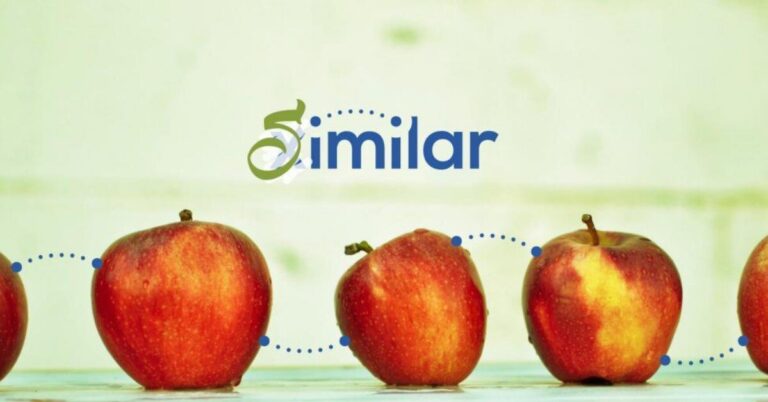 Image Similarity Search by Ximilar