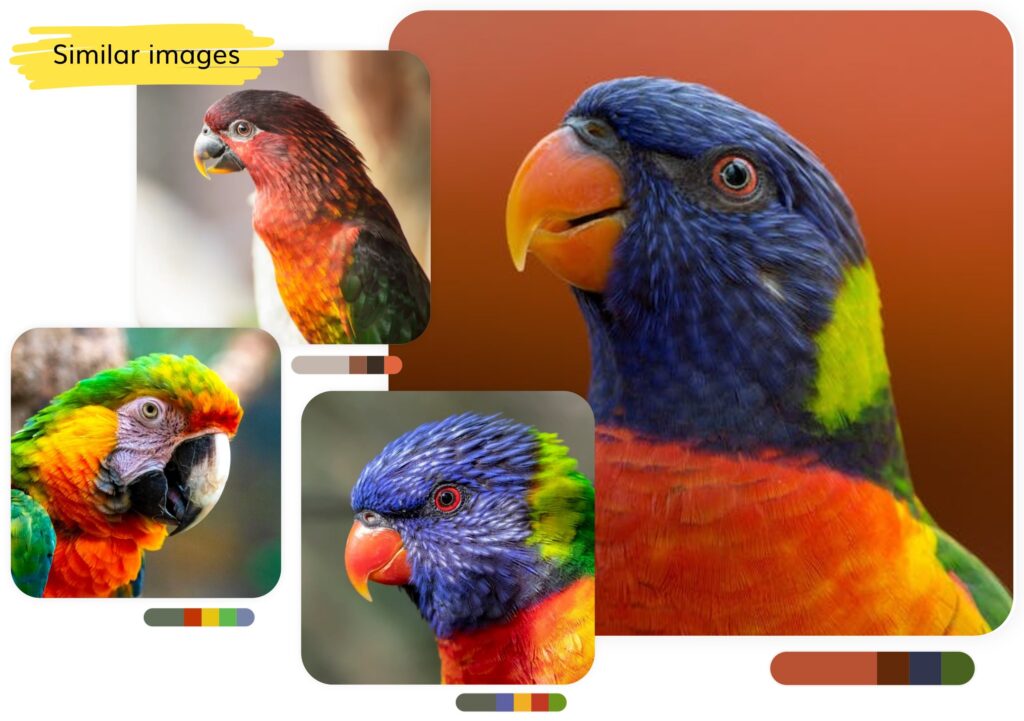 Stockphotos.com, one of the leaders in the stock photo industry, uses Ximilar's visual AI.