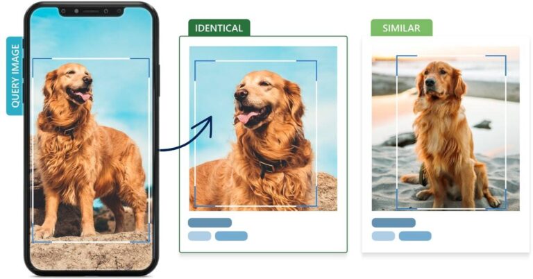 Our visual engine allows us to combine several features for multimedia search with advanced filtering.